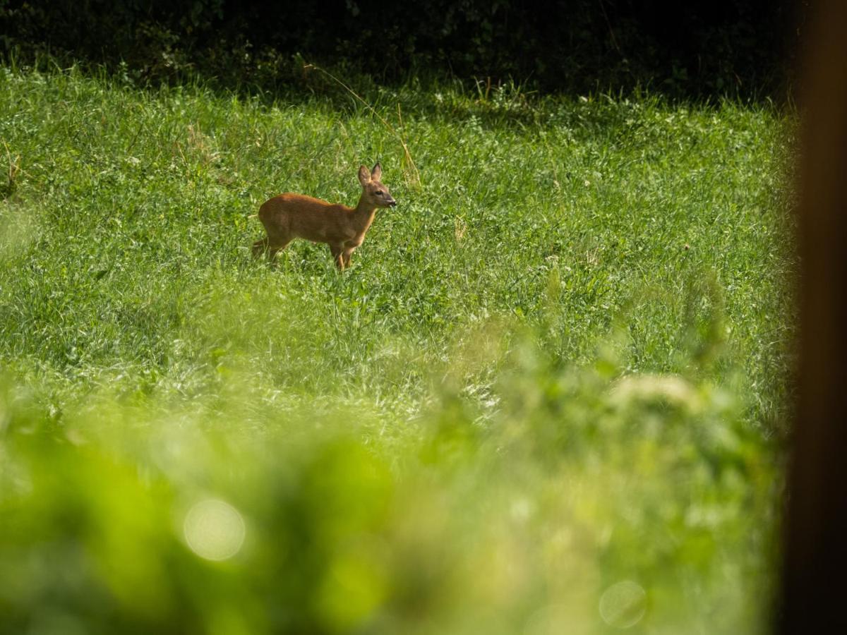 Natur Appartments Riesen Sankt Lorenzen Buitenkant foto