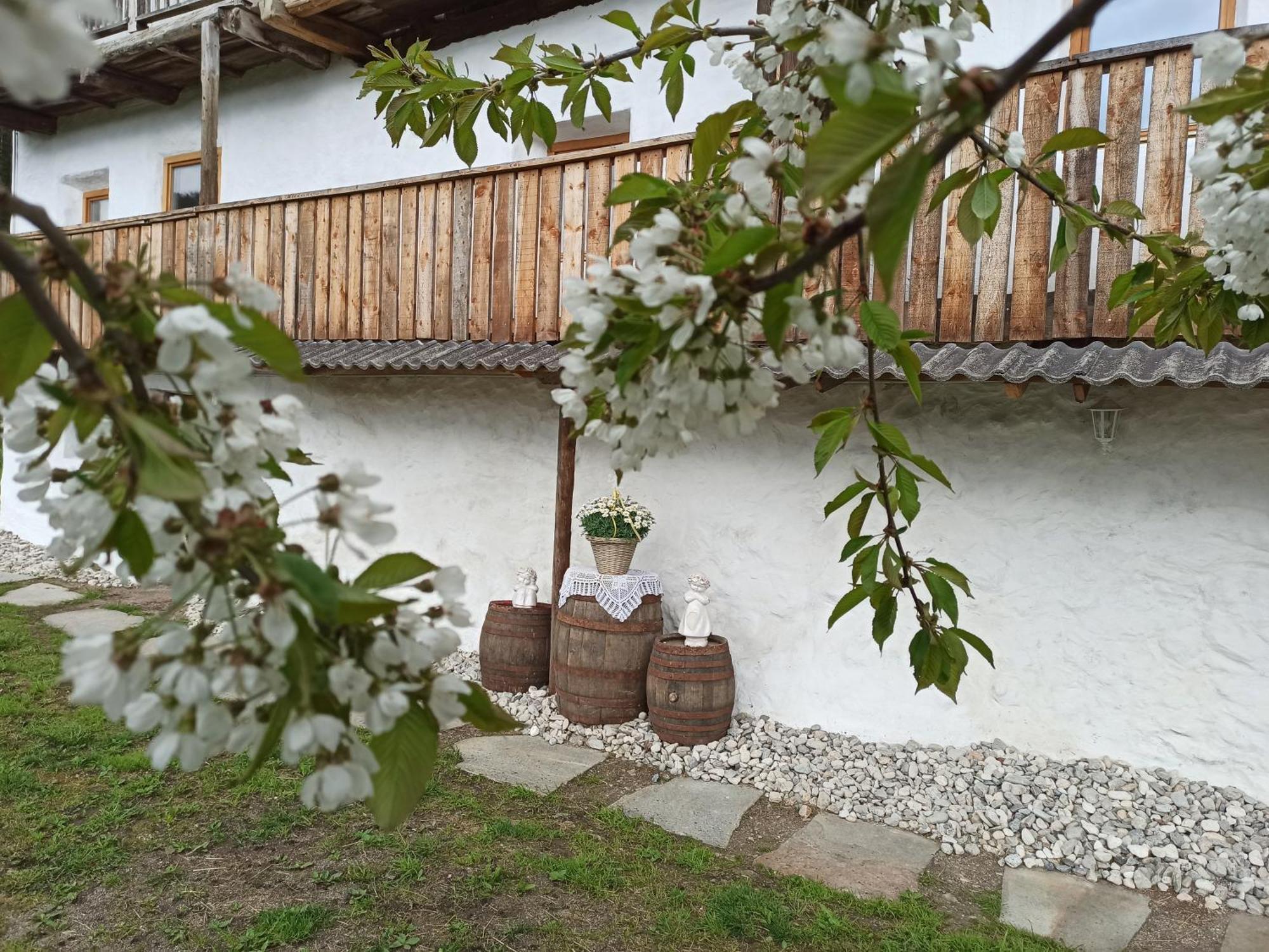 Natur Appartments Riesen Sankt Lorenzen Buitenkant foto