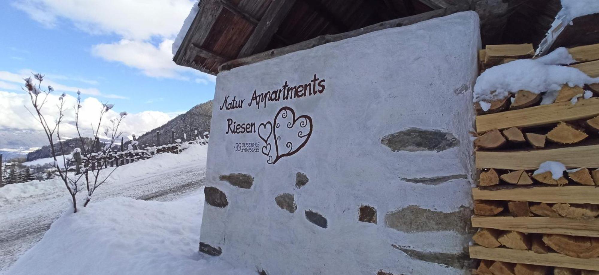 Natur Appartments Riesen Sankt Lorenzen Buitenkant foto