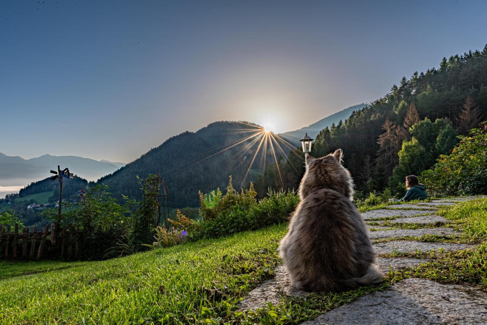 Natur Appartments Riesen Sankt Lorenzen Buitenkant foto