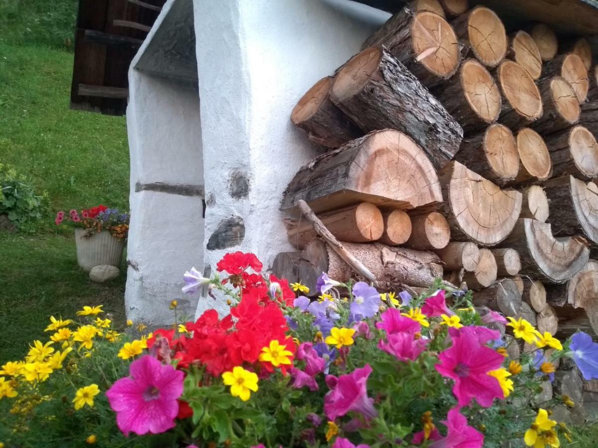 Natur Appartments Riesen Sankt Lorenzen Buitenkant foto